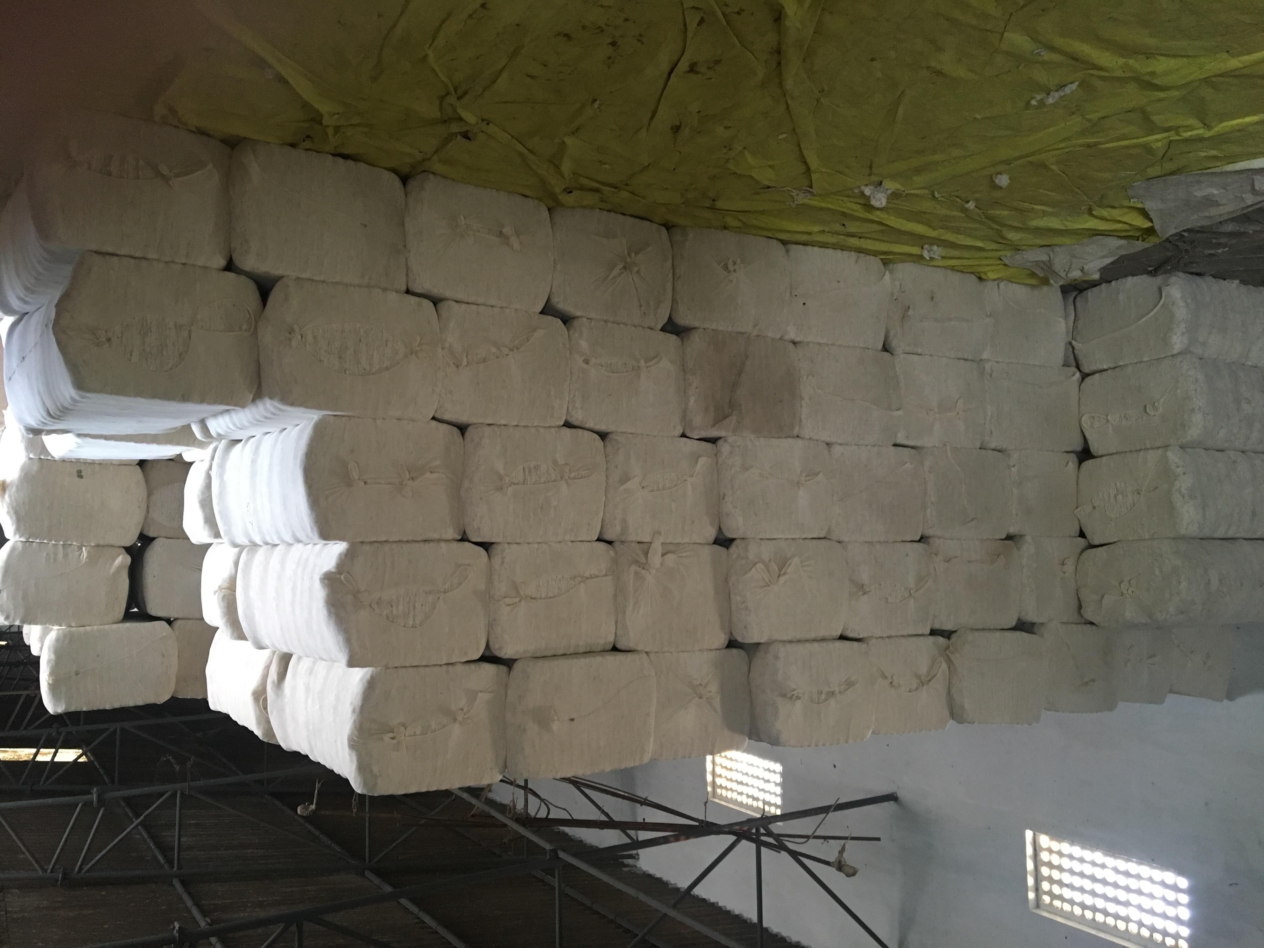 Raw Cotton