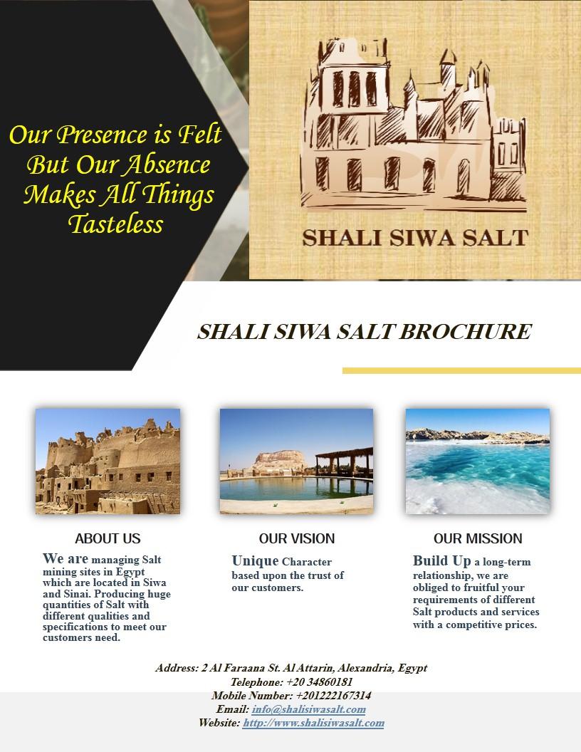Road Salt - Deicing Salt - Refined Salt - Industrial Salt - Water Softeners Tablet & Block Salt