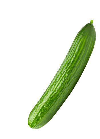 Cucumber