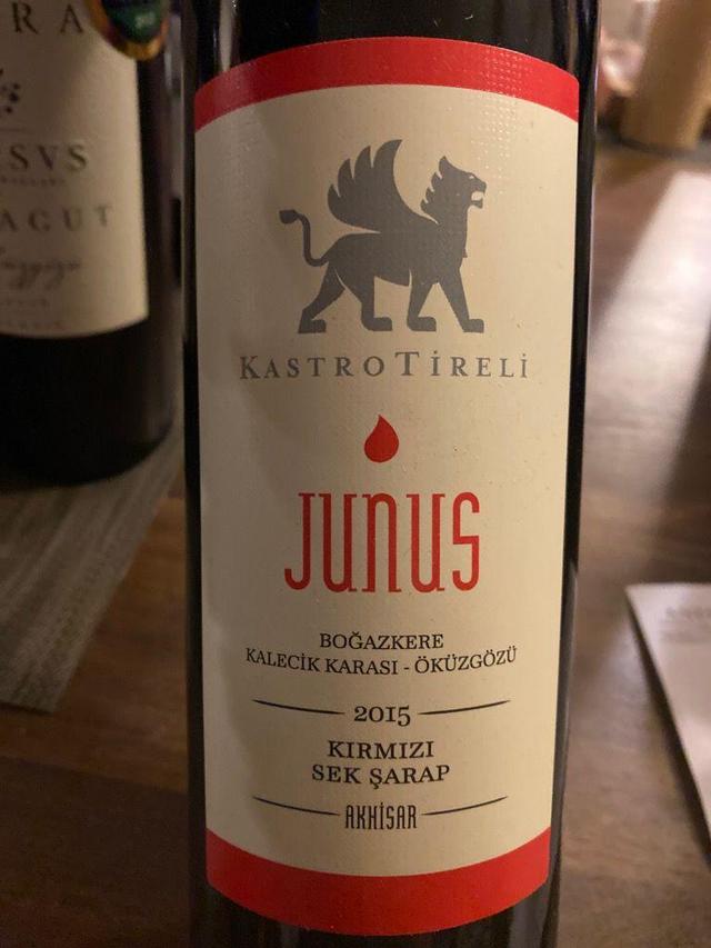 2015 Kastro Tireli Junus