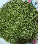 Green Mung Beans