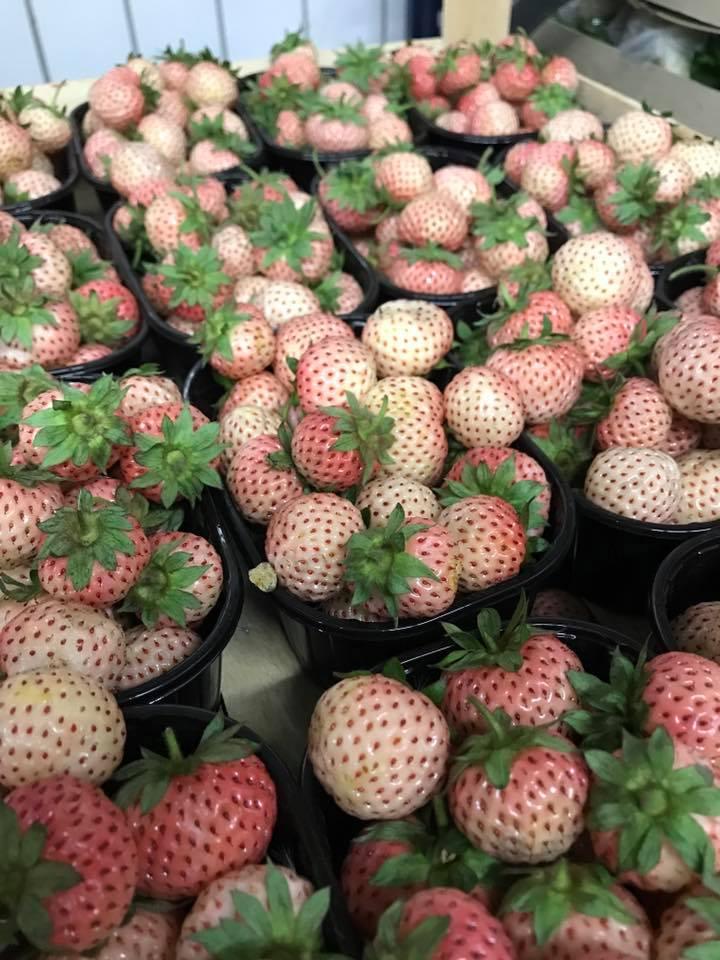 Strawberry