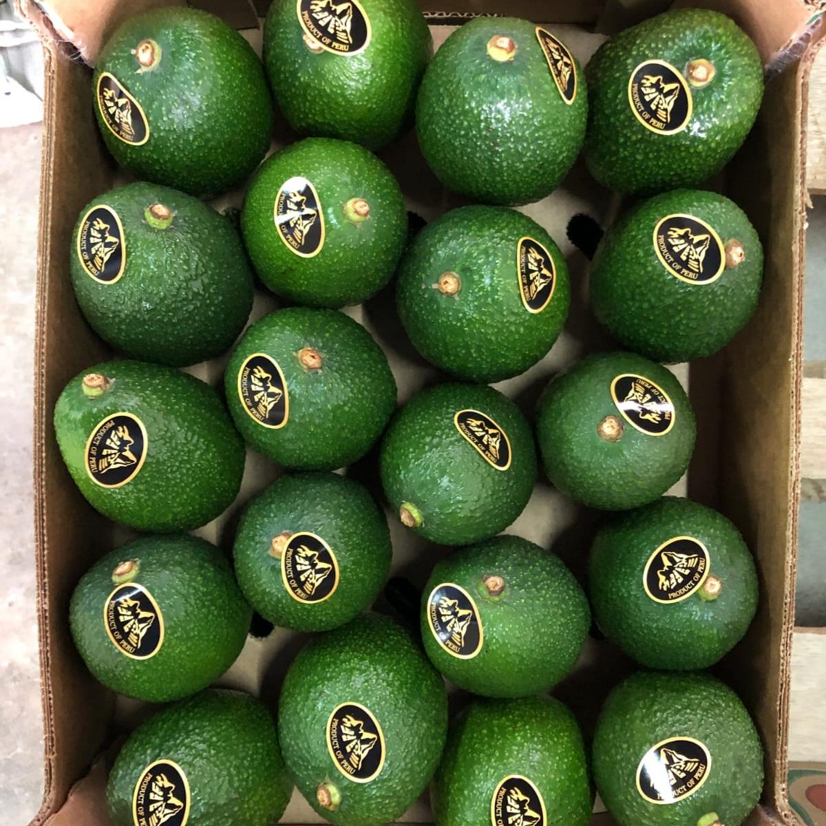 Peruvian Avocado Hass