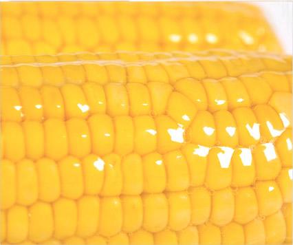 Boiled Sweet Corn