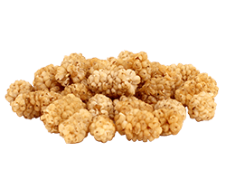 organic dried mulberries