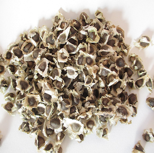 Pumpkin Seeds