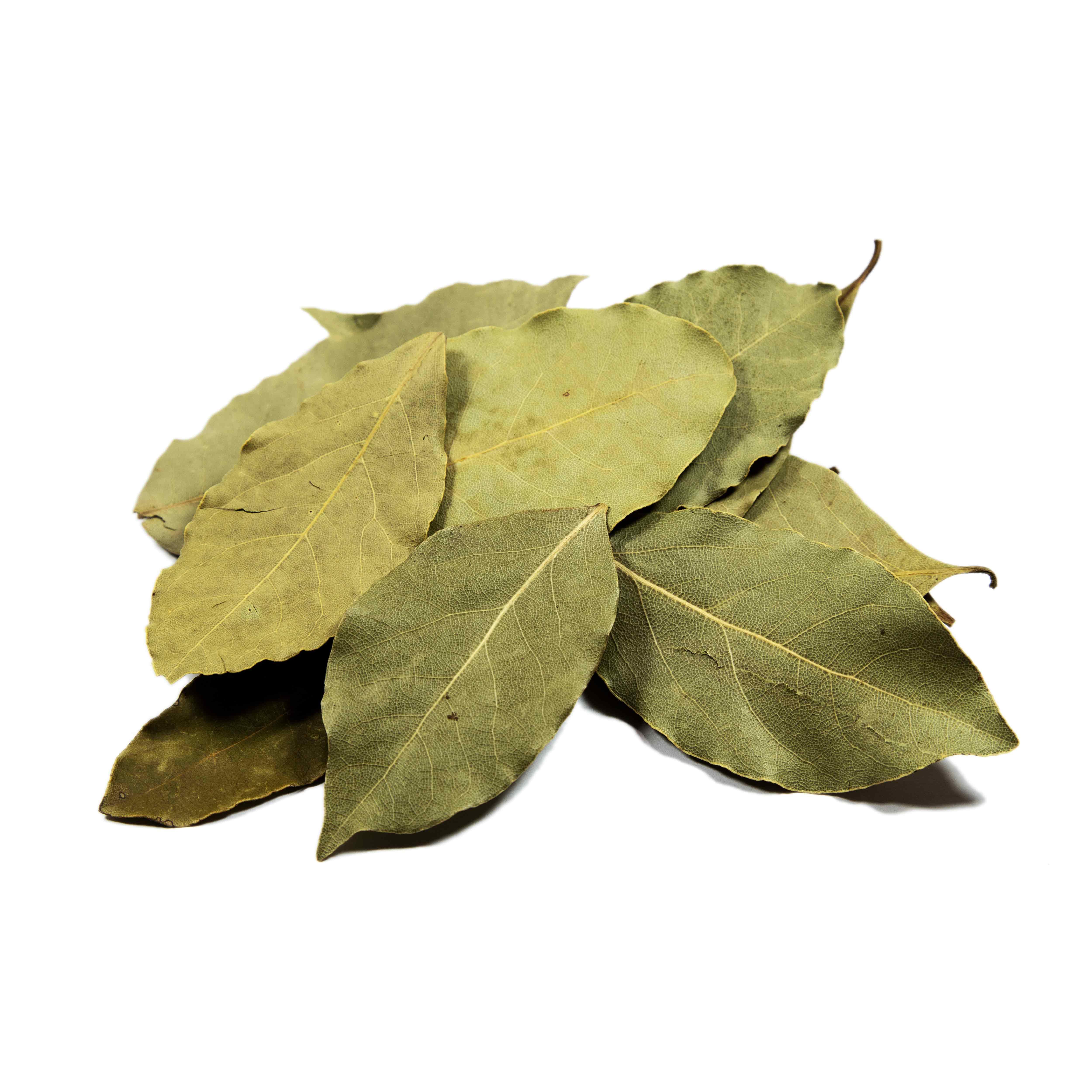 Bay (Laurel) Leaf