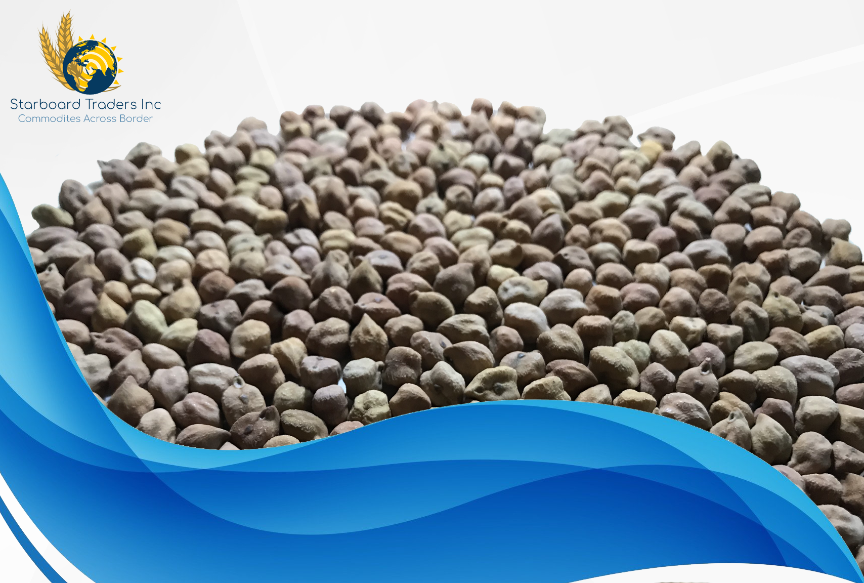 Desi Chickpeas