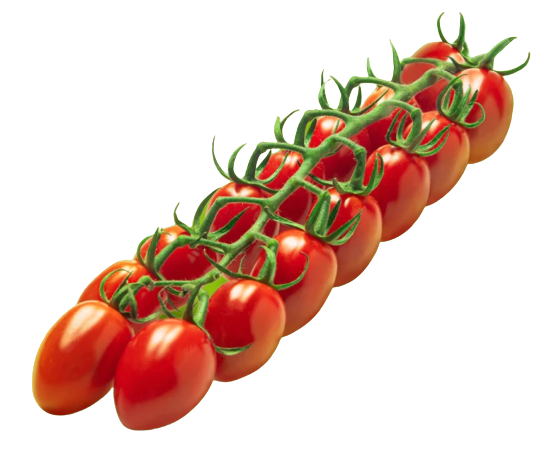 Red Desire Tomatoes