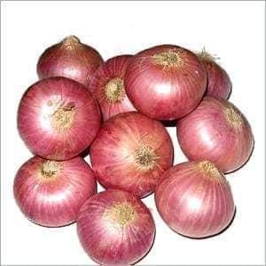 Pakistan Onion