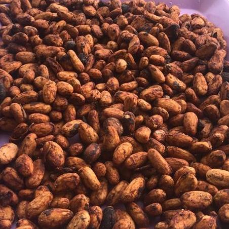 Cocoa beans
