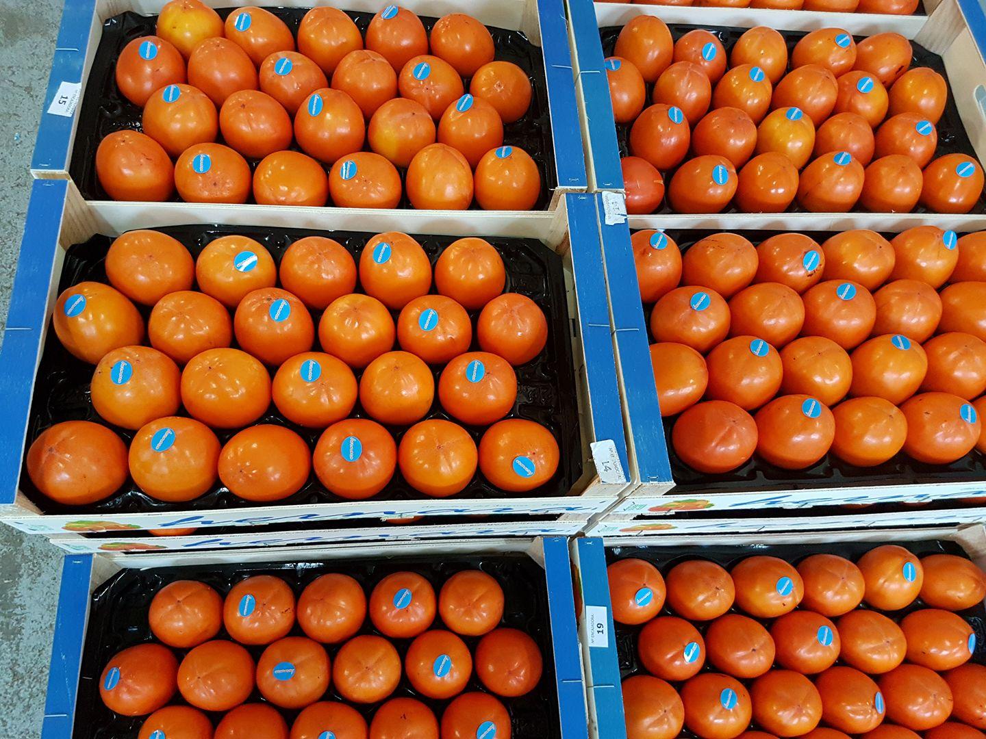 Persimmon