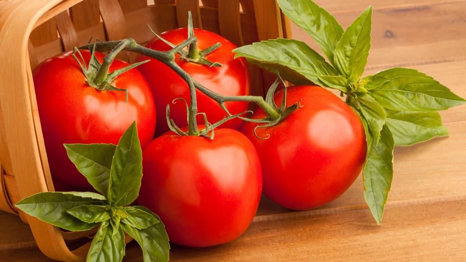 Tomato
