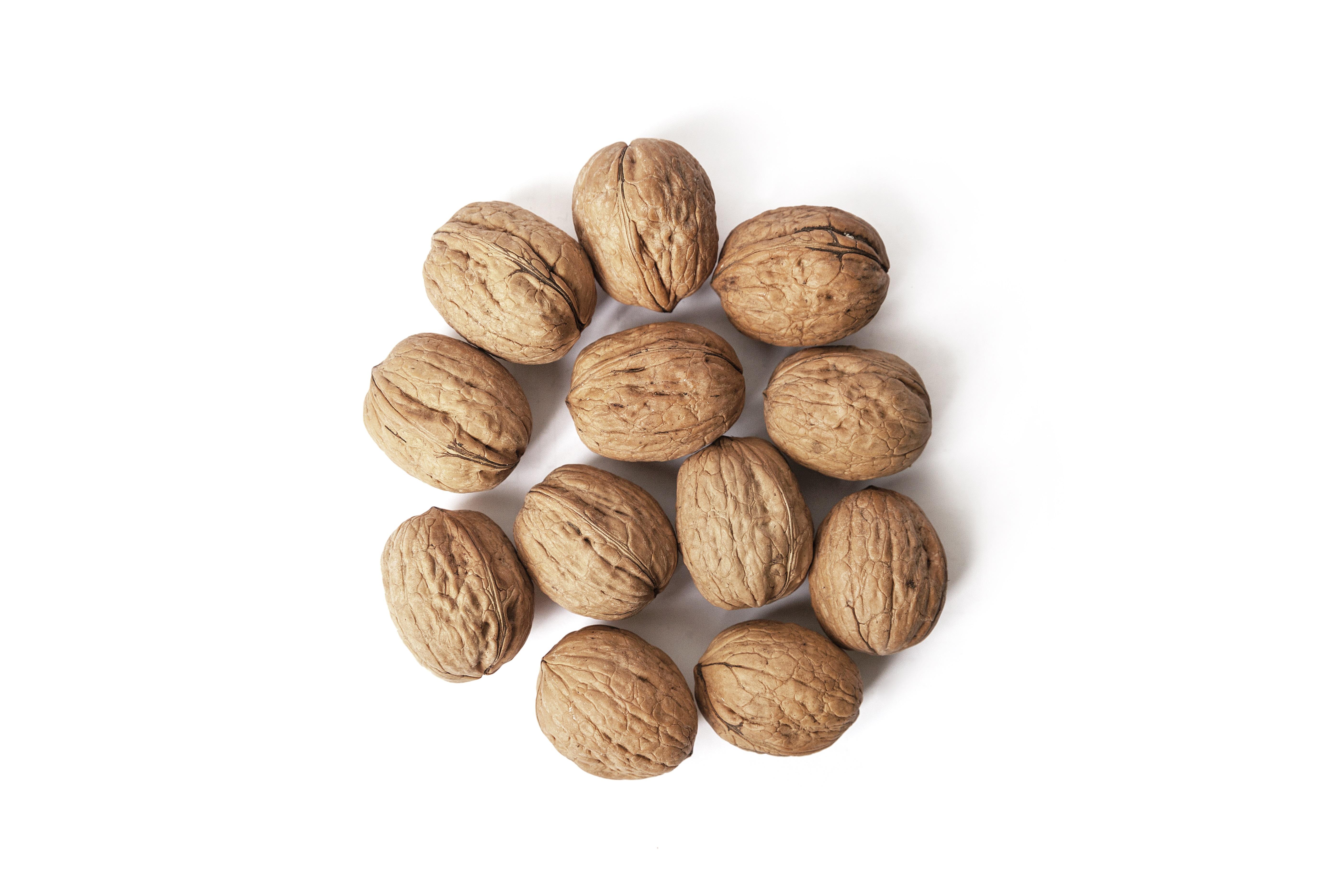 In Shell walnut