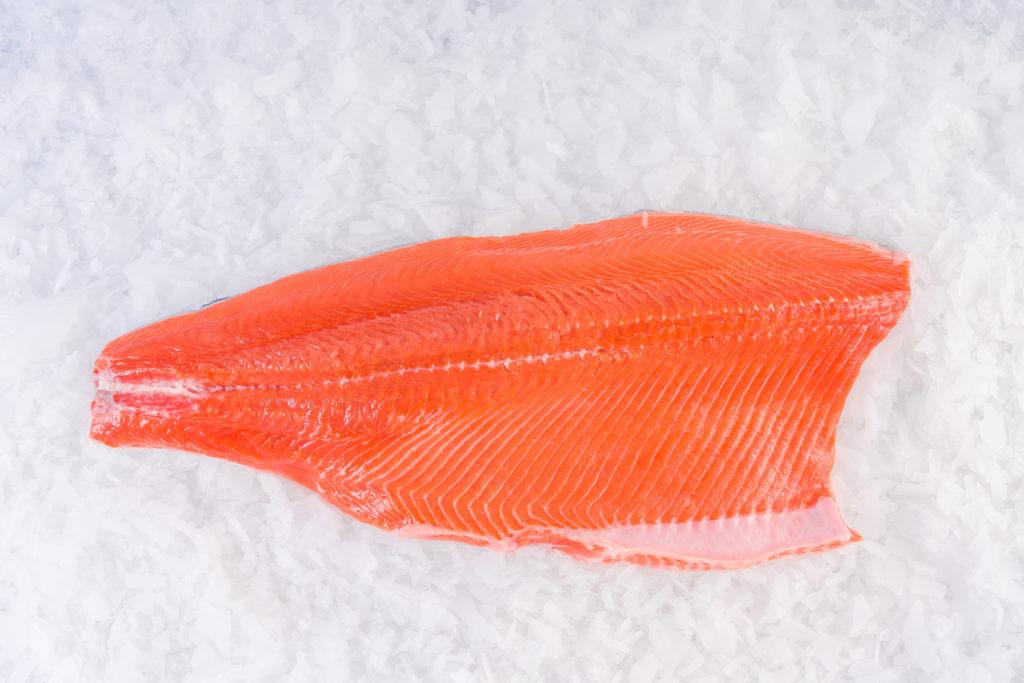 Trout (Rainbow)