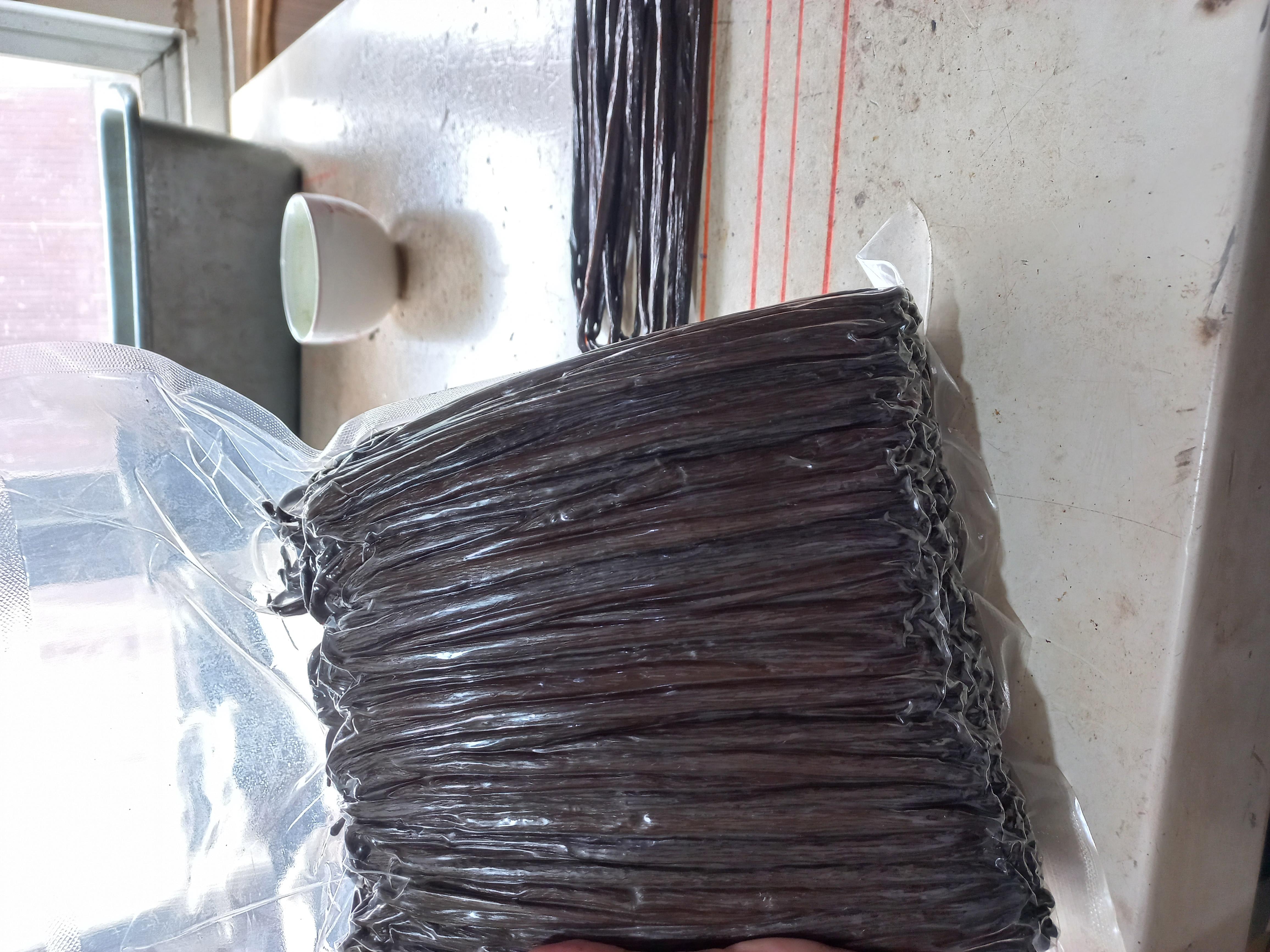 Vanilla Beans Plani