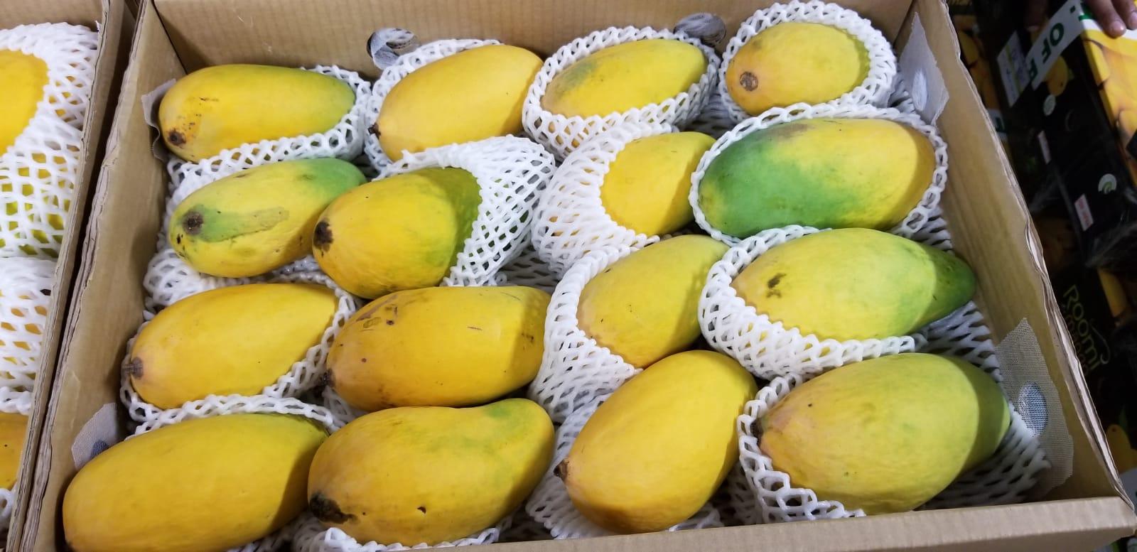 Fresh Mandarin