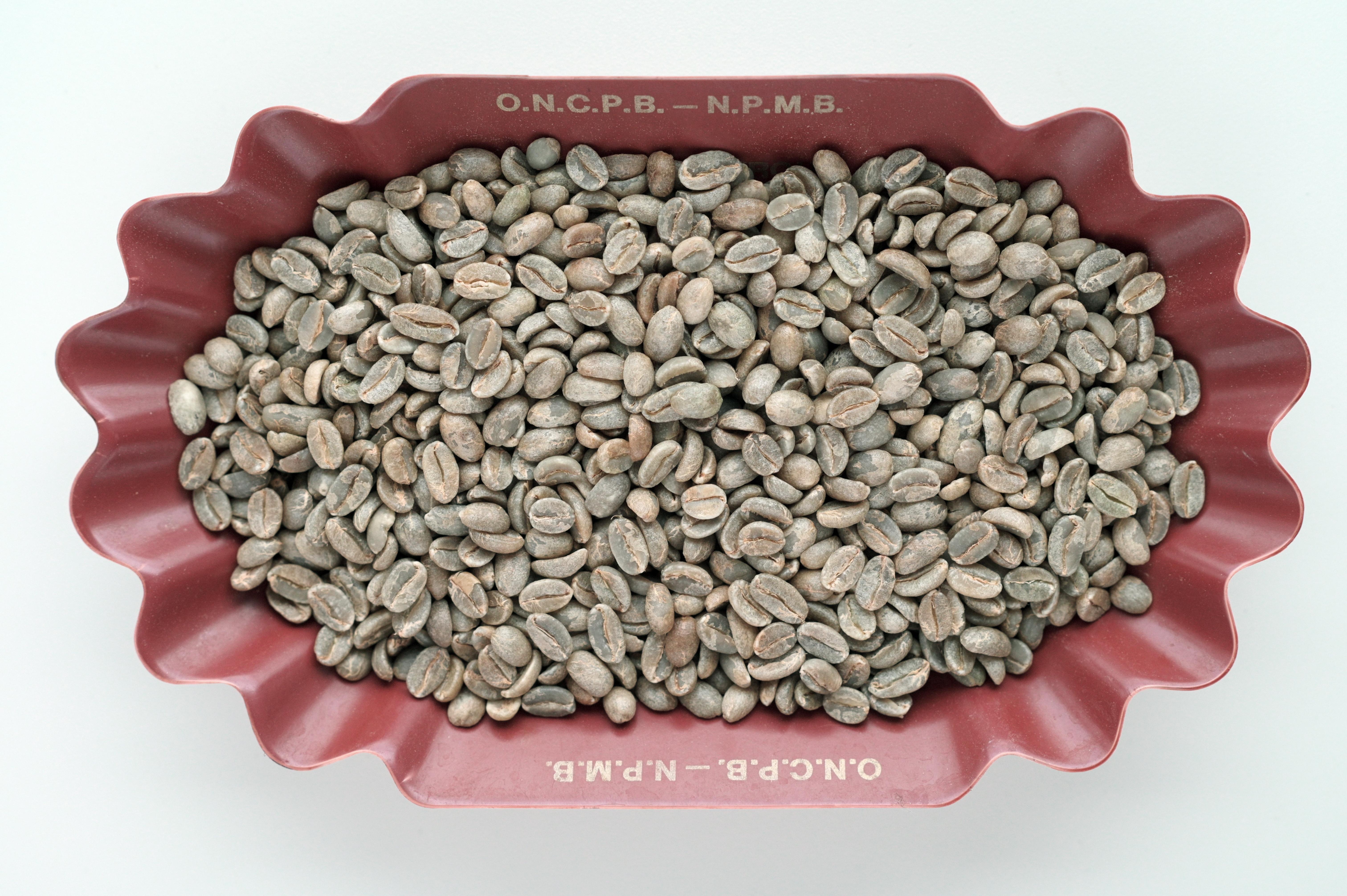 [Green Coffee] Cameroon Specialty Java Arabica Coffee