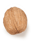 Walnut- In Shell
