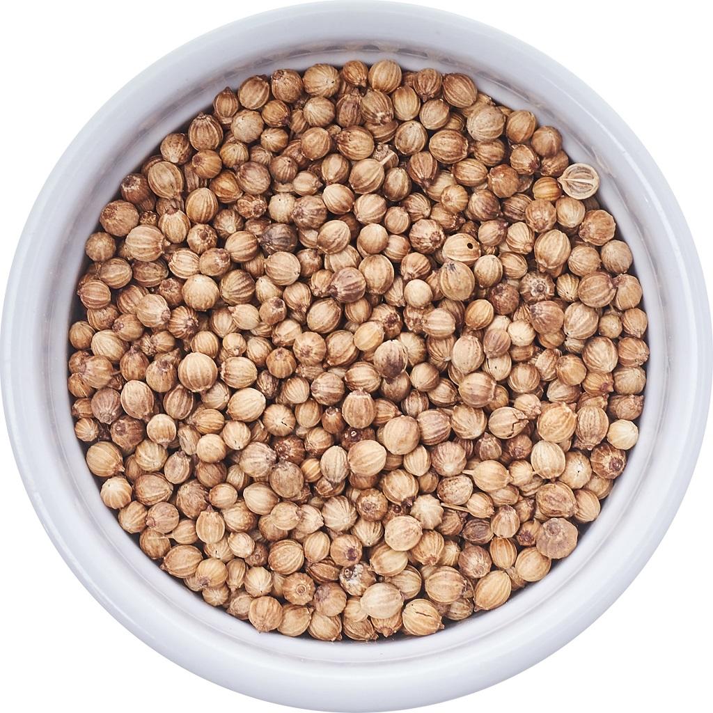 Coriander