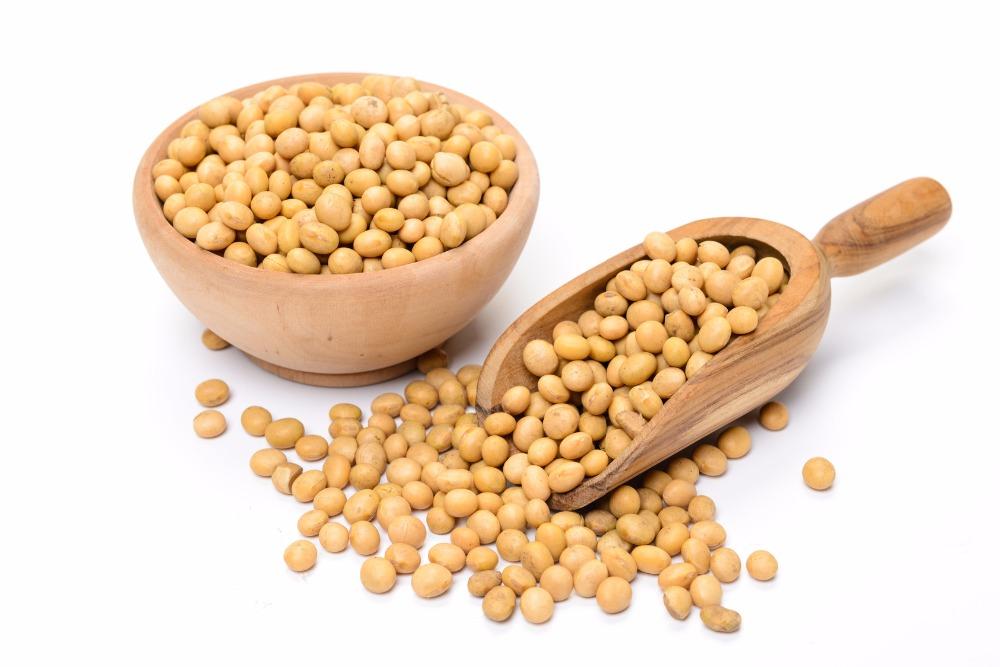 Organic Soybeans