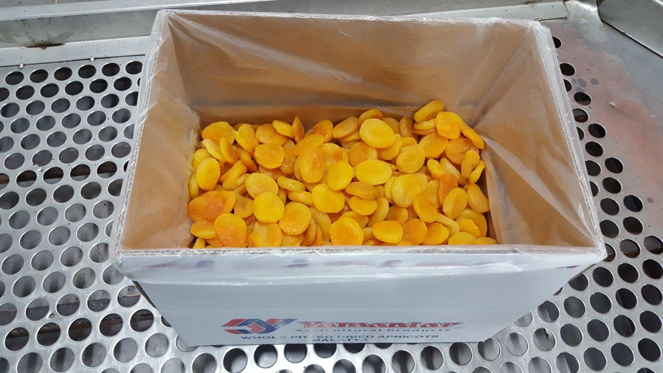 Dried Apricots