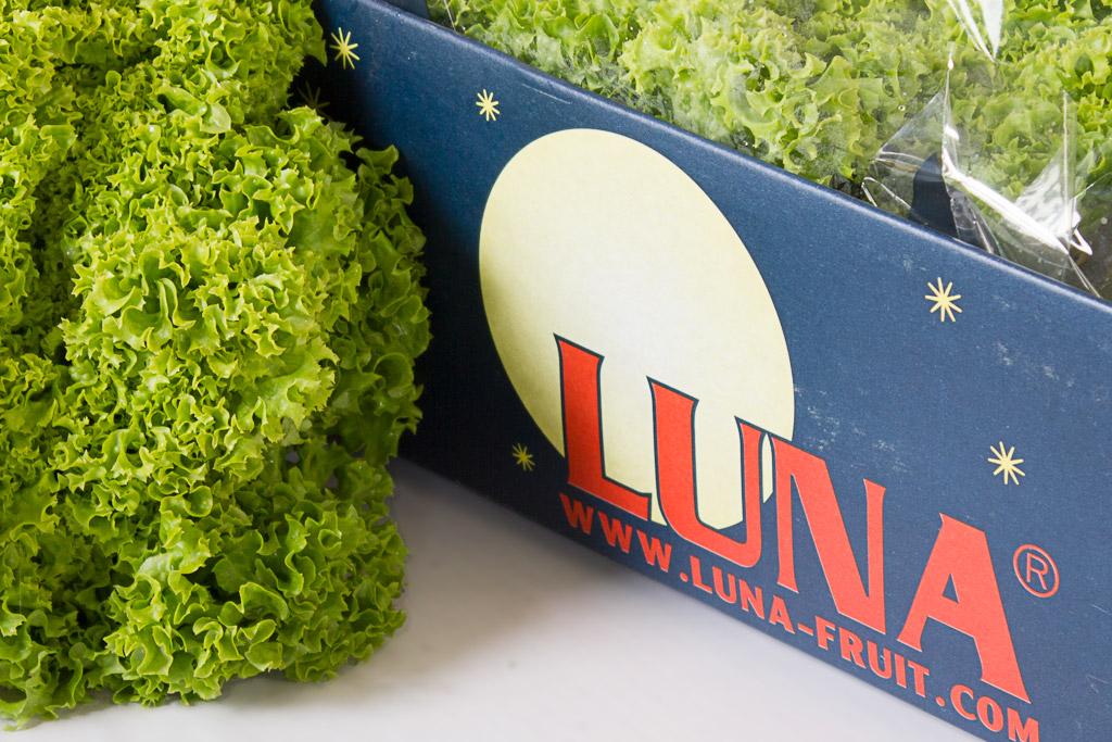 Lettuce