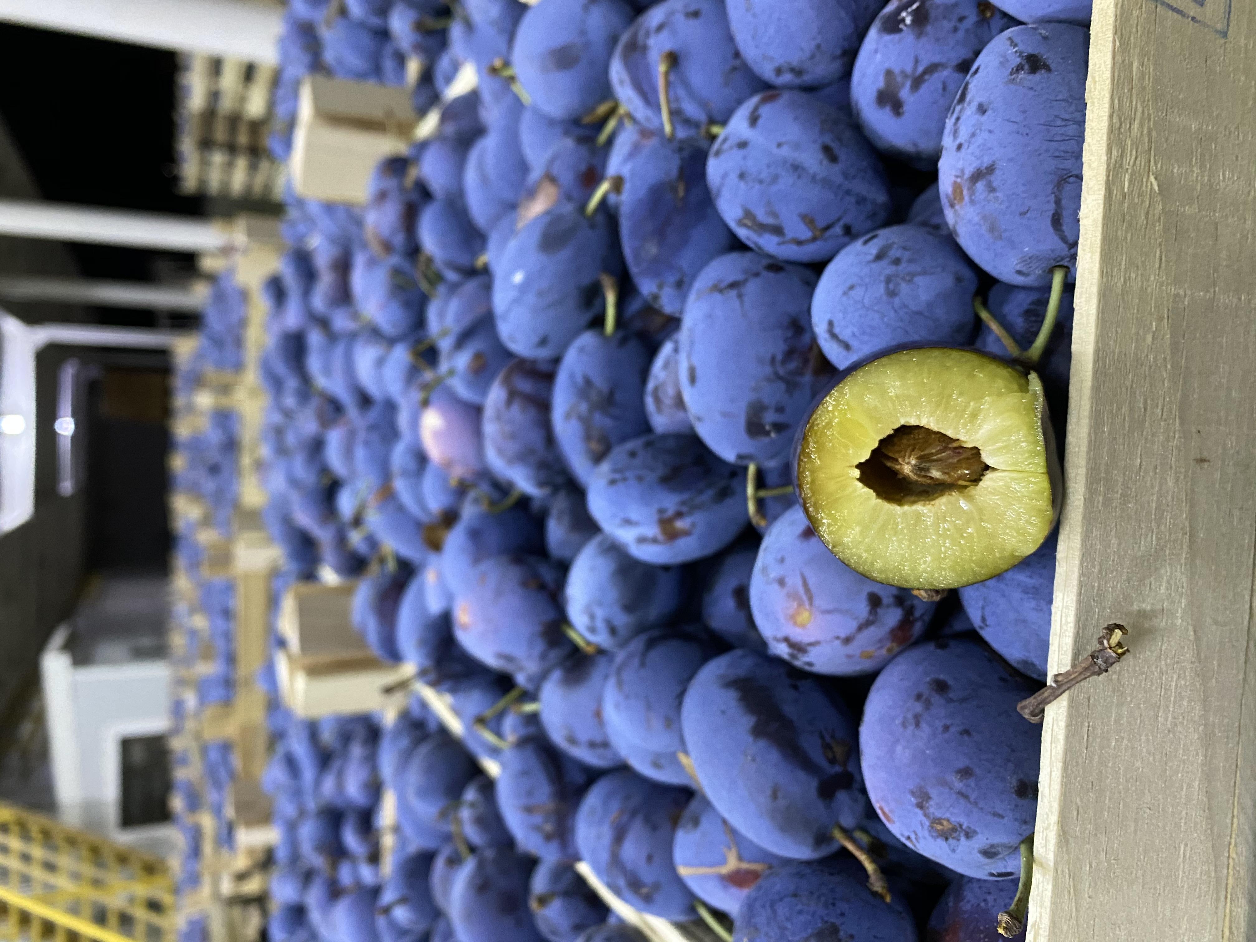 Plum