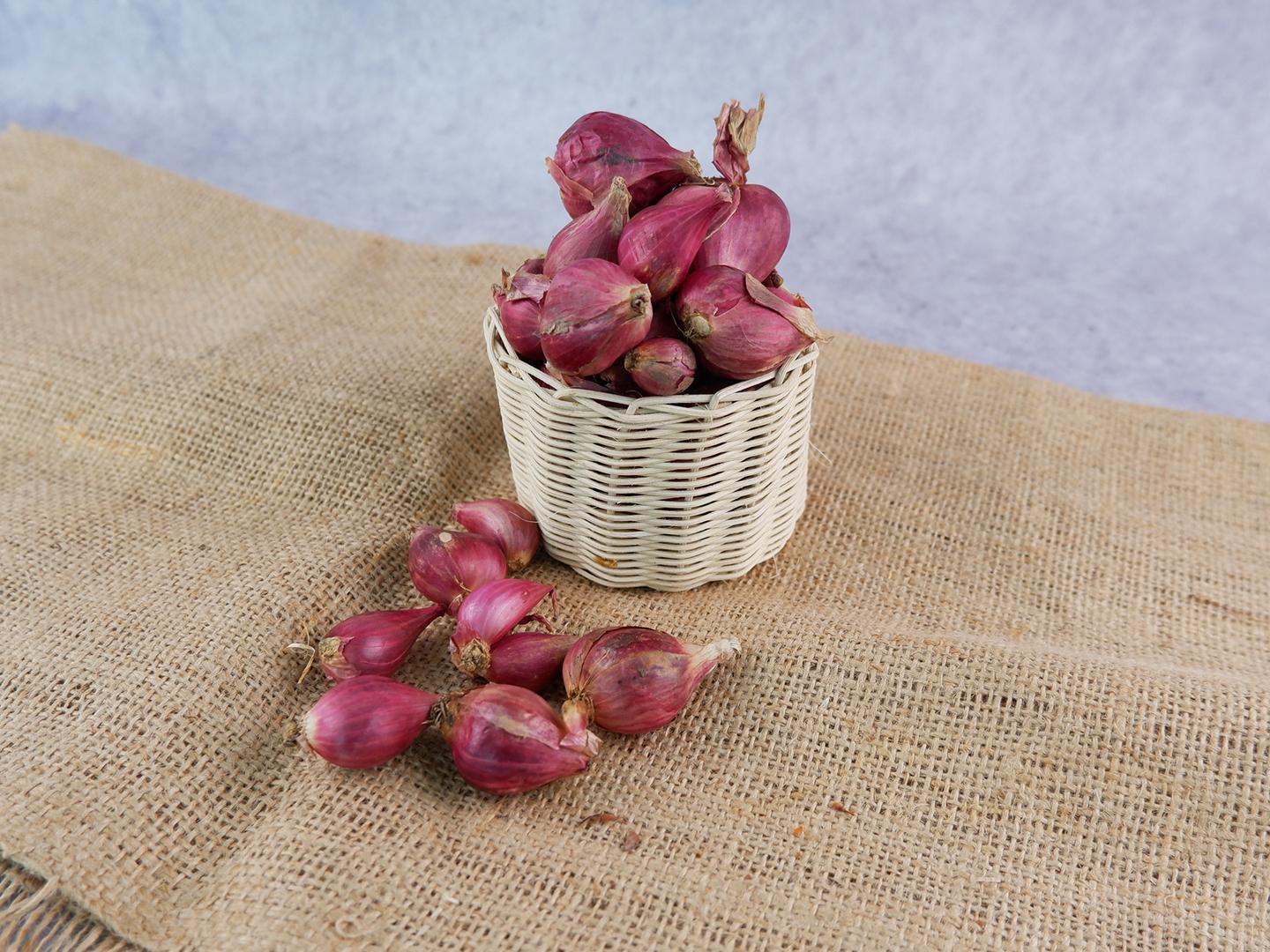 Shallot