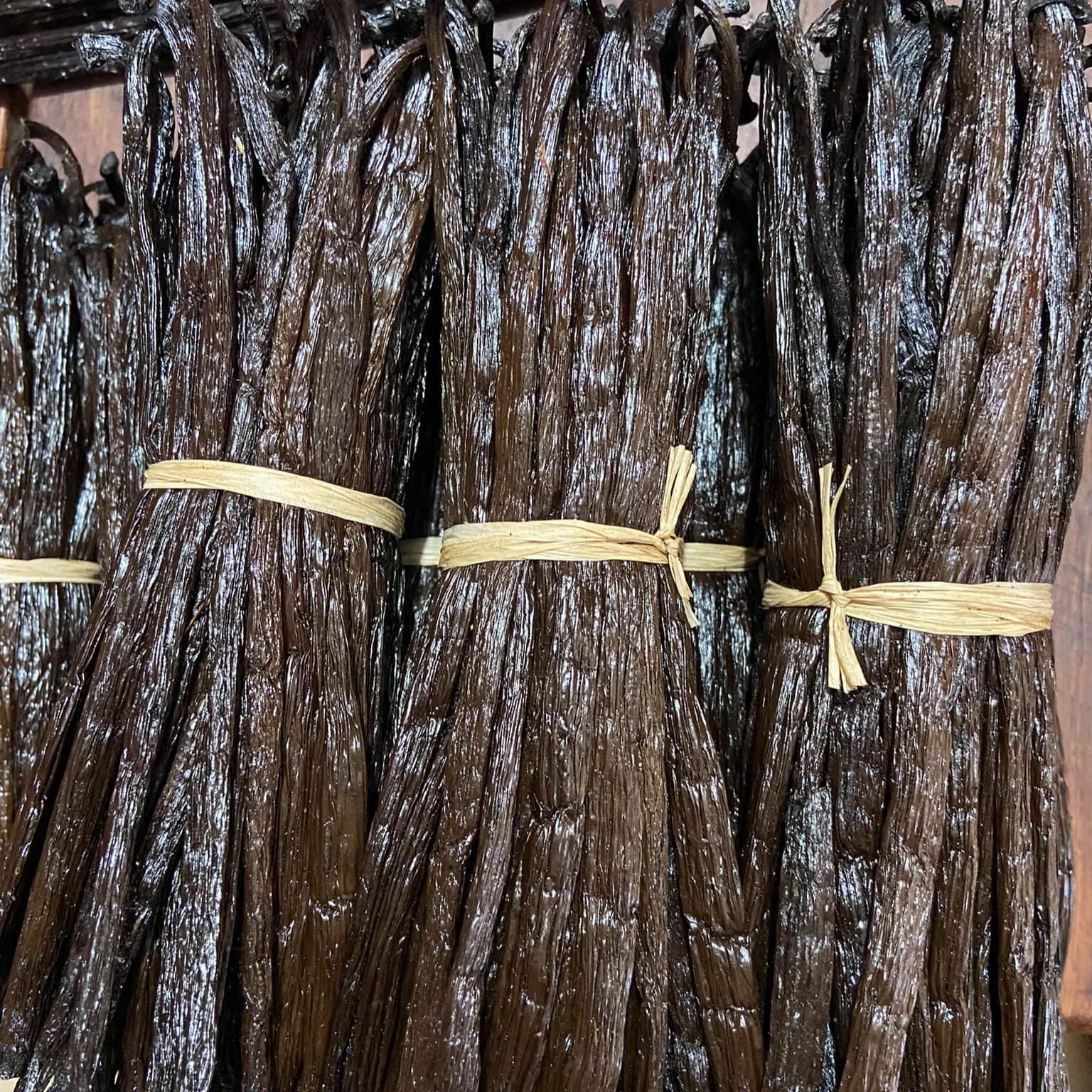 Gourmet Grade A Vanilla beans