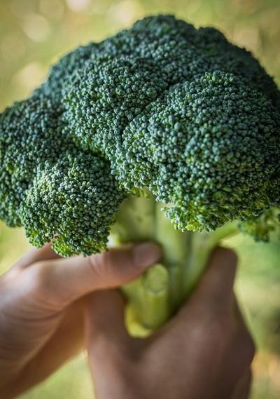 Broccoli