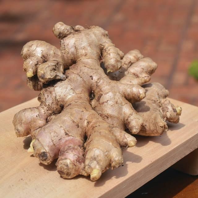 Whole Ginger Large