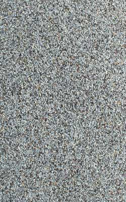 cumin seed