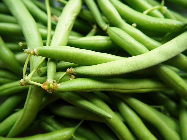 Green/French bean