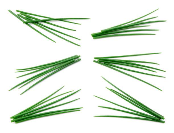 Chives