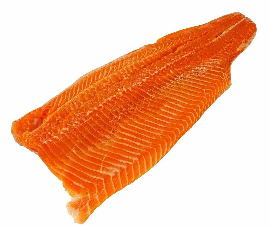 Salmon