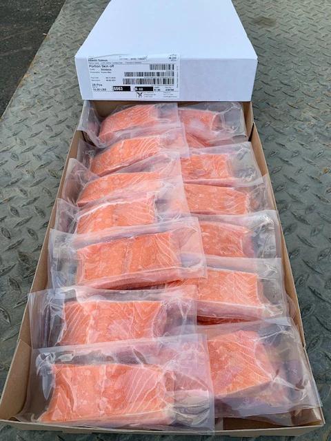 Frozen Salmon