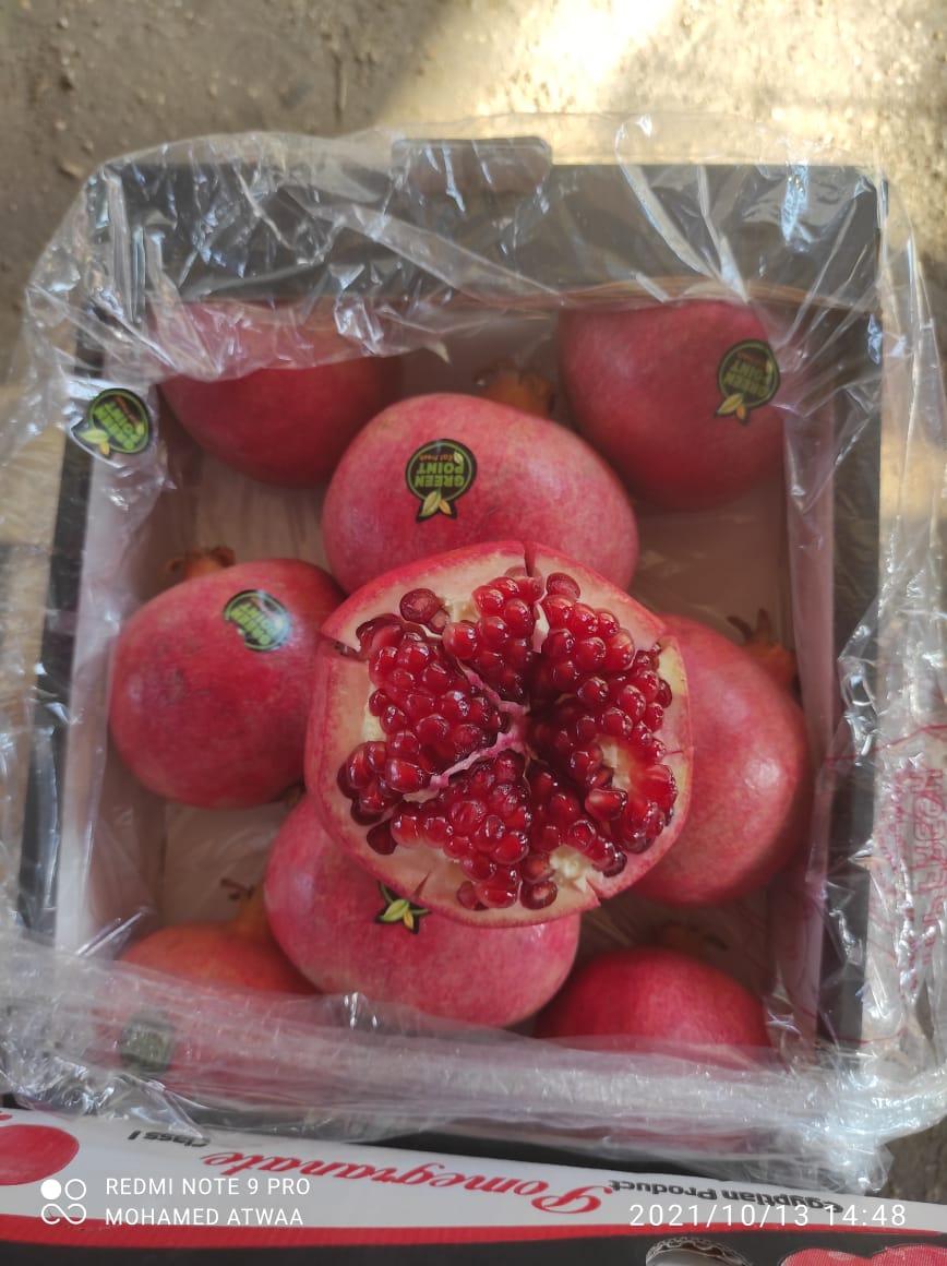fresh pomegranate