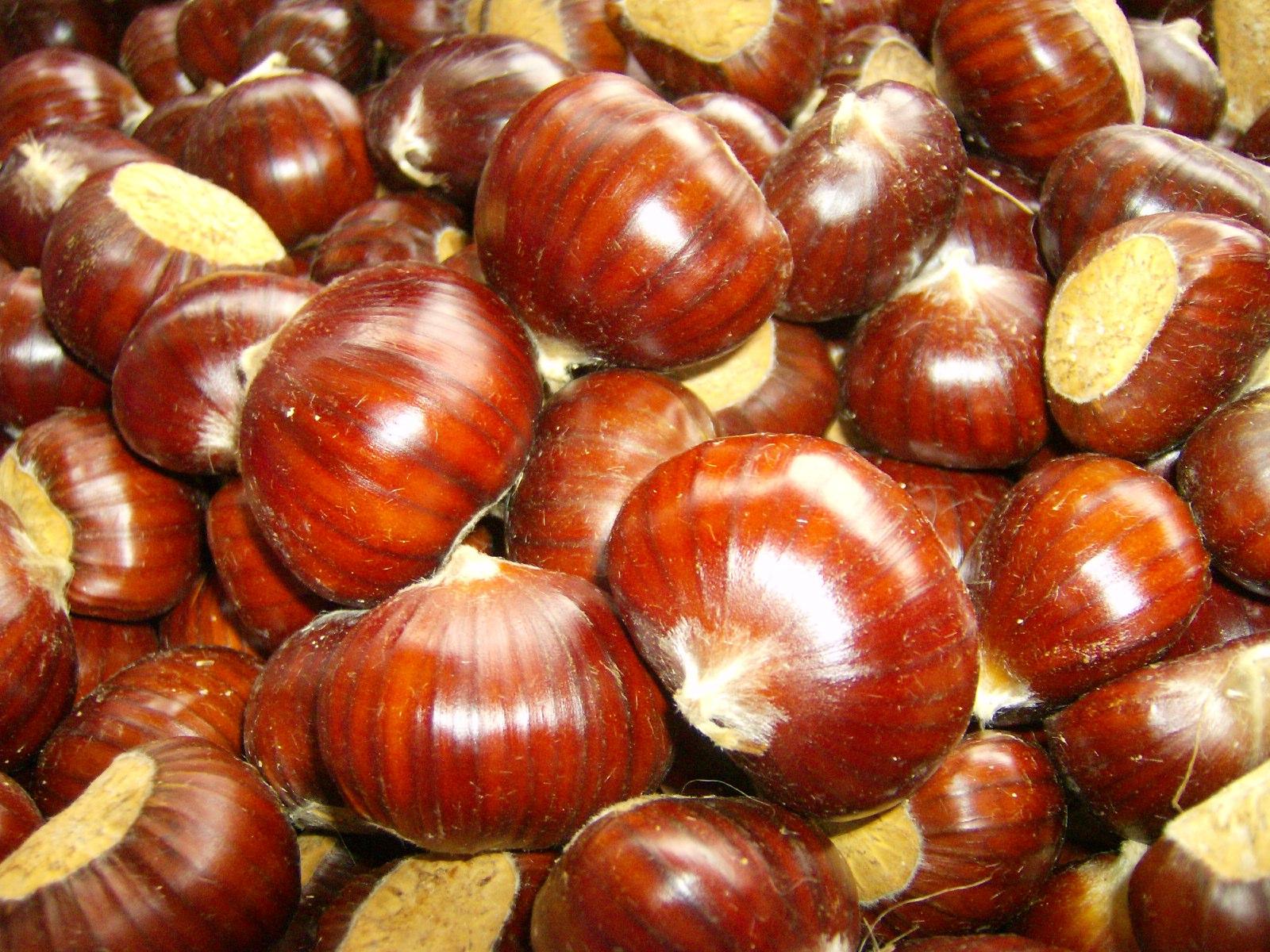 Chesnut