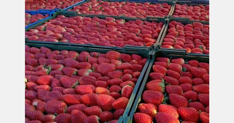 Strawberry