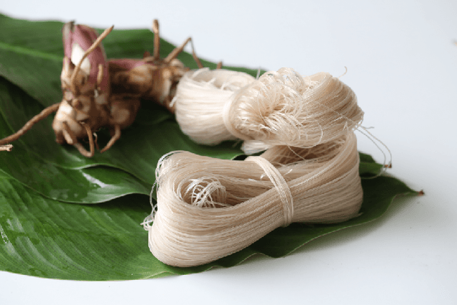 Rice Noodle