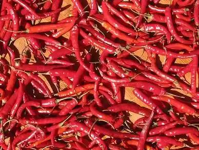 Red Chilli Pepper