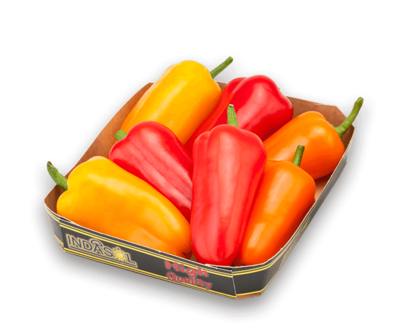 Sweet Bite Pepper
