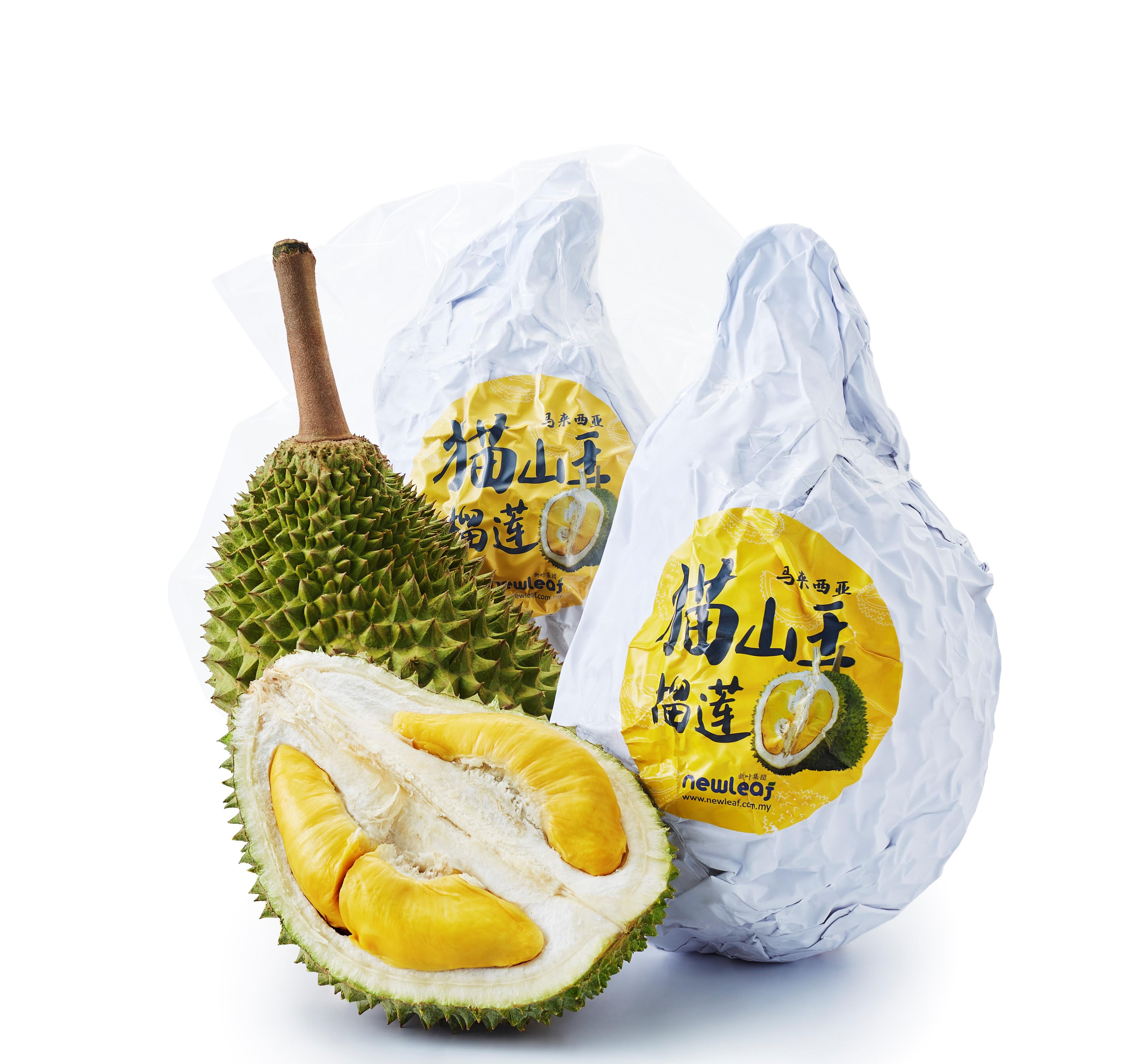 Frozen Durian Paste