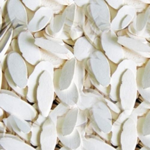 Cassava
