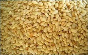 Sesame Seeds