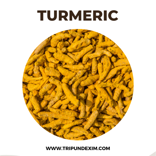 TURMERIC