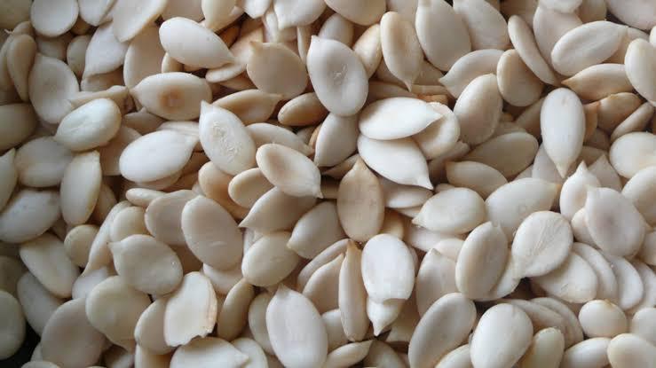 Melon Seeds