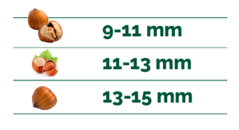 Hazelnut