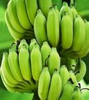 Green Banana